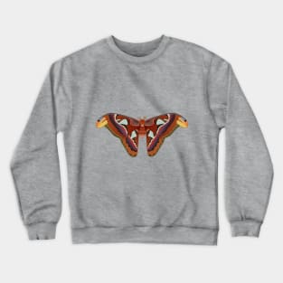 A vector illustration of an atlas moth Crewneck Sweatshirt